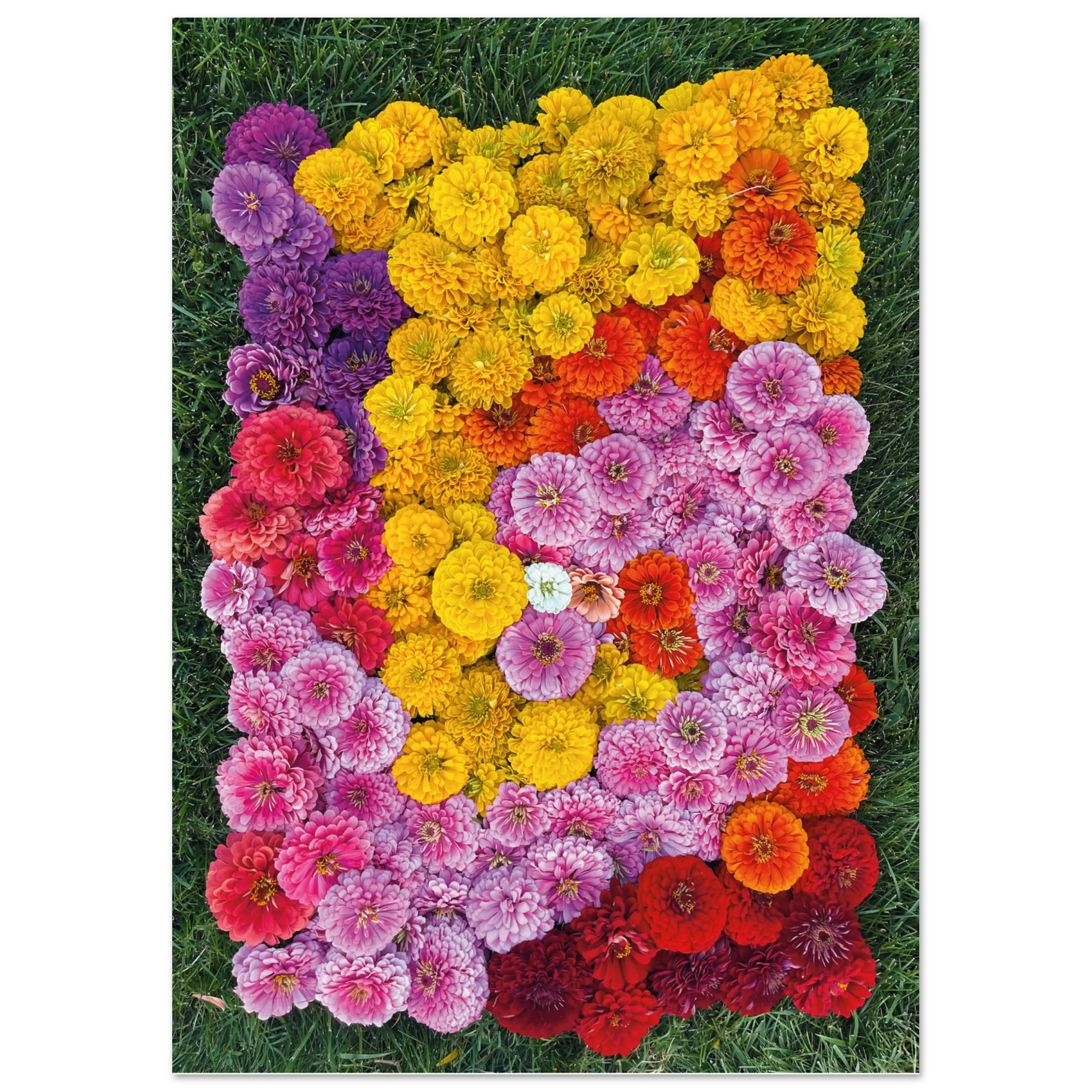 93b6e166-903f-412c-bbfb-d99a238ac4cb