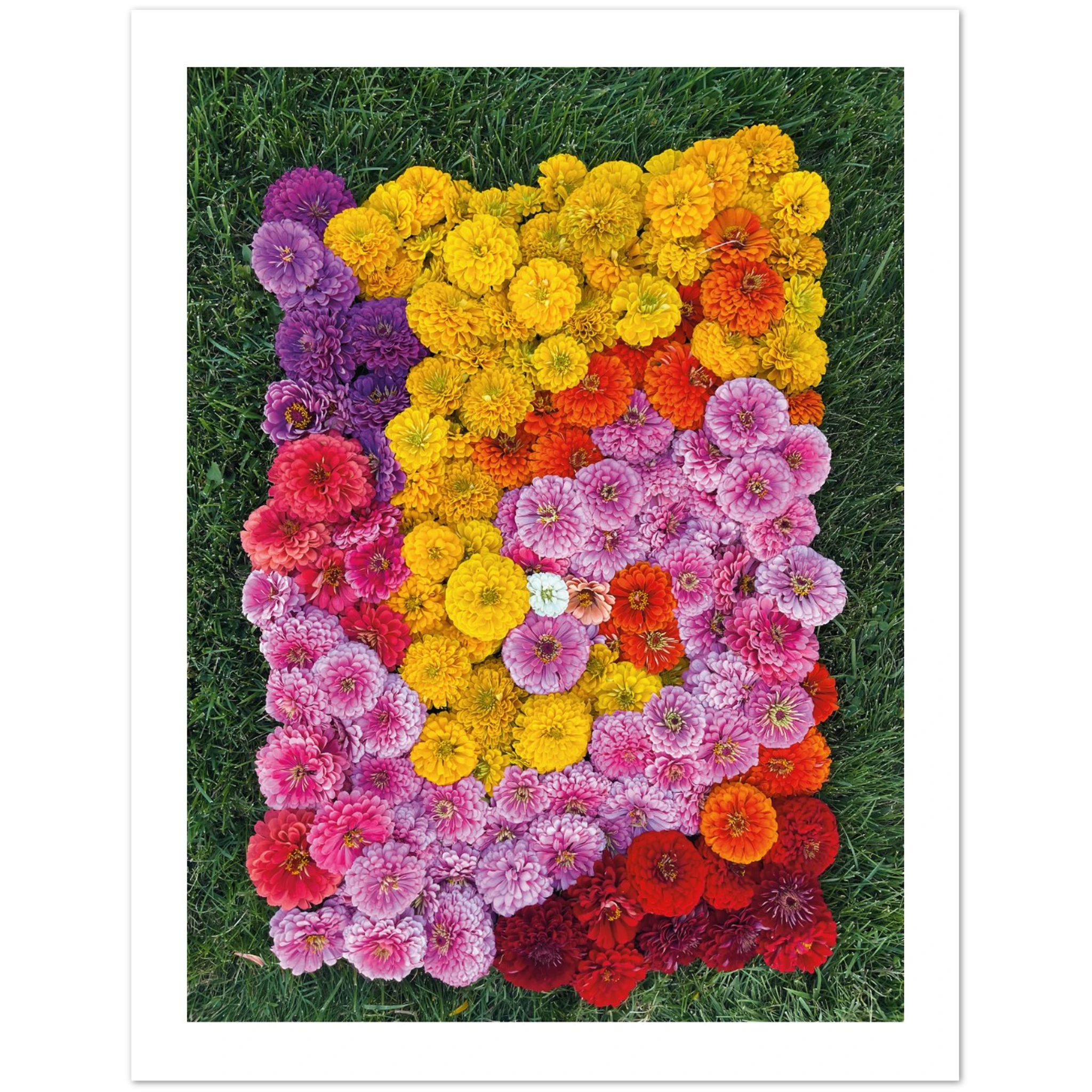 9a1d320b-2b2d-4ba4-b089-f48f5ca31e08