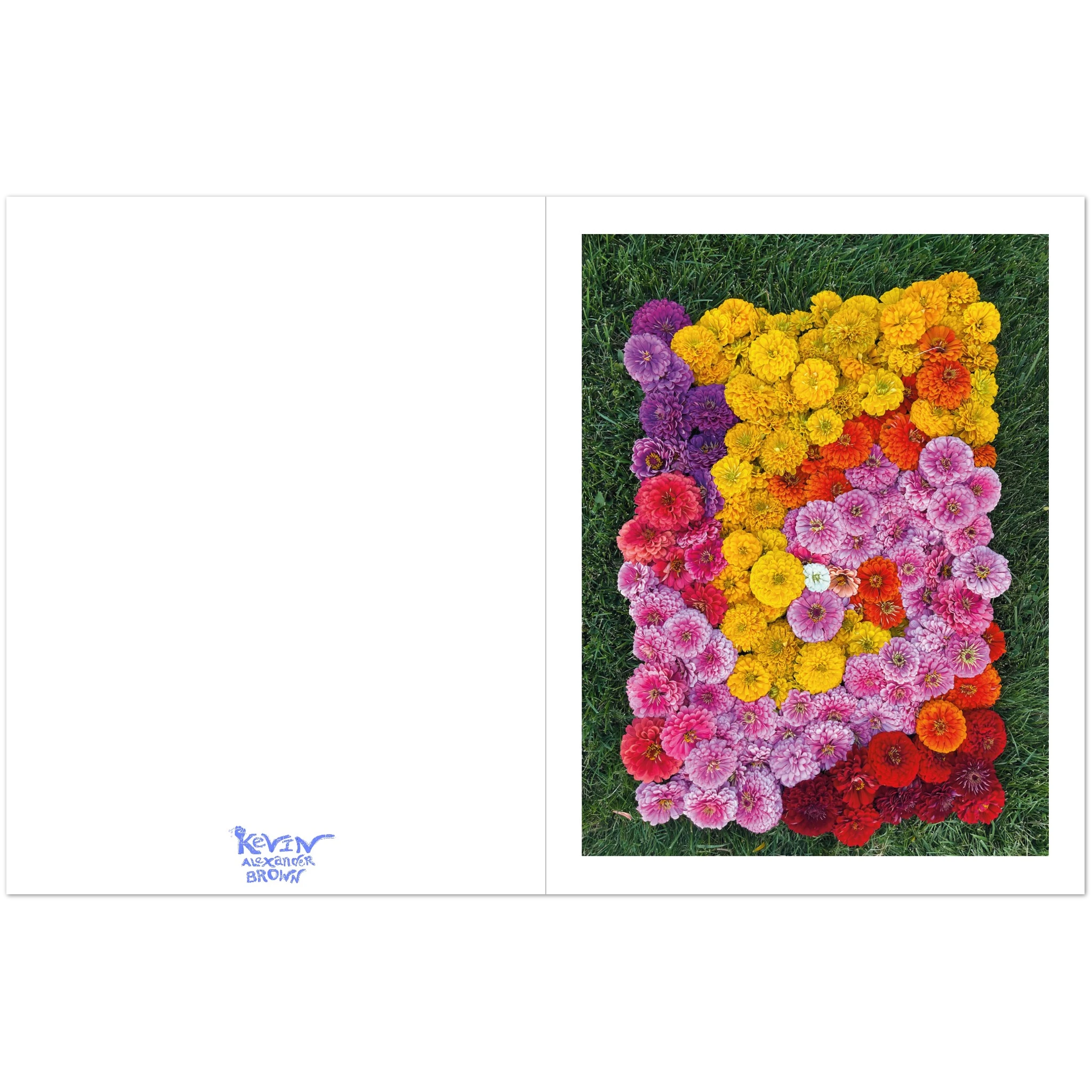 c550177f-0029-4693-8b27-7684a1503c4d